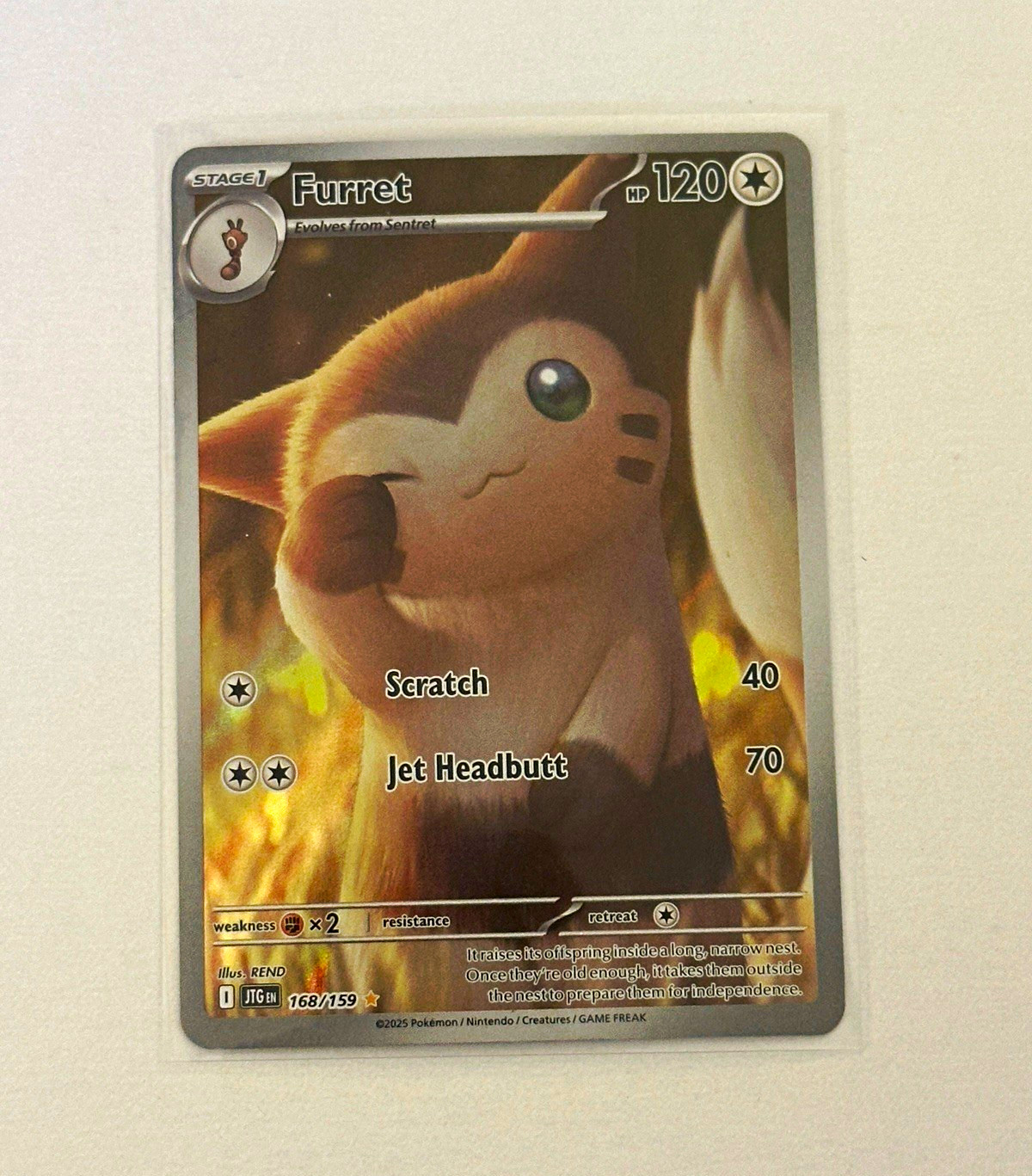 Pokemon Company Furret 168/159 SV08 Surging Sparks Illus Rare Holo 120 HP