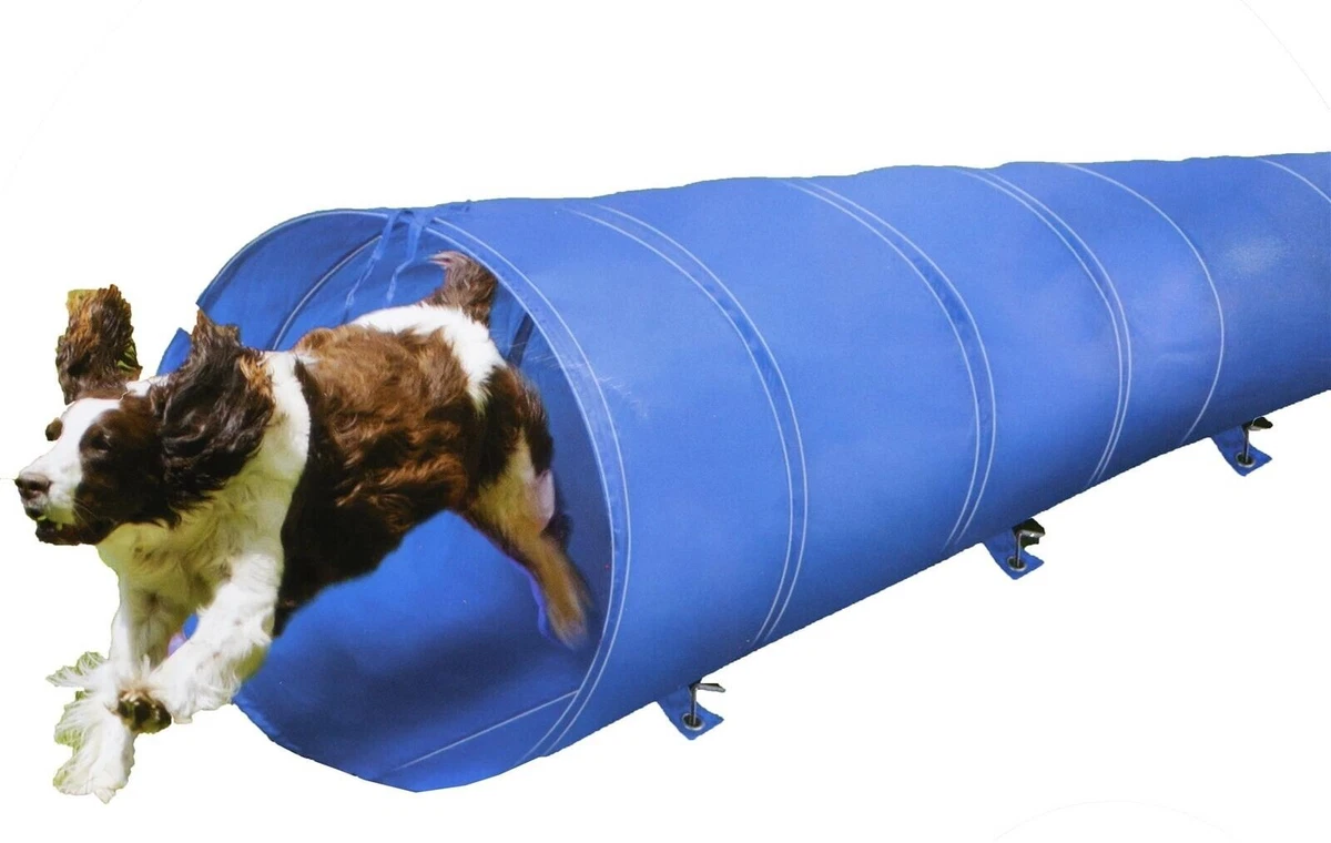 Dog Agility Training Tunnel 3m Large Dog Tunnels Tubes with Pegs Carry Case