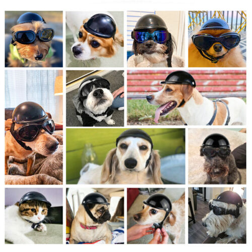 Pequeña Mascota Perro Gato Casco Gorra Exterior Conducción Motocicleta Sombrero de Seguridad Ajustable - Imagen 9 de 12