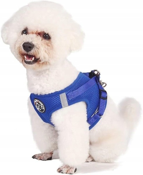 Atmungsaktives Mesh-Hundegeschirr Mit Leine, Blau, GrößE M-image