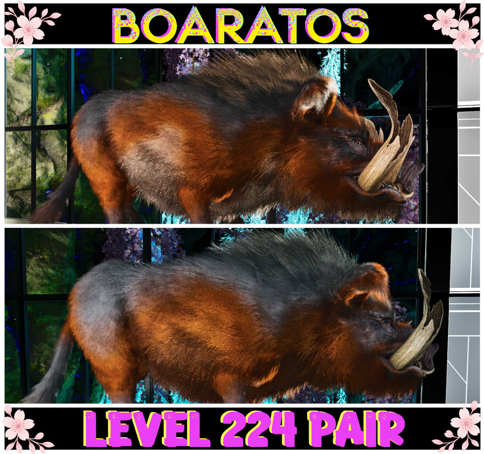 Boaratos LEVEL 224 PAIR Ark🌸 Survival Ascended ASA PVE CLONES