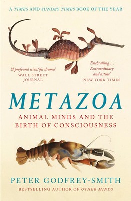 Peter Godfrey-Smith / Metazoa /  9780008321239