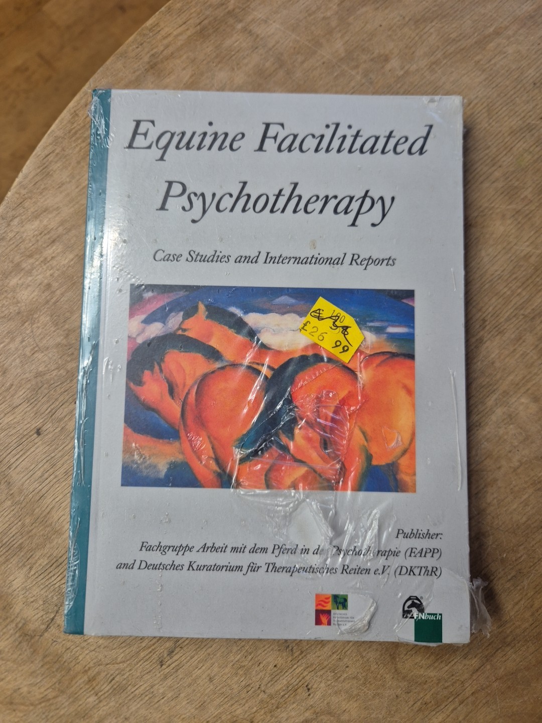 Equine Facilitated Psychotherapy Case Studies & Reports horse riding horses