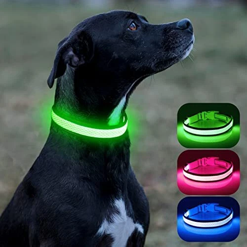 Light up dog hot sale leash