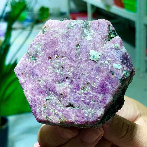 1.11LB Natural pink tourmaline quartz crystal mineral specimen spiritual healing - Picture 13 of 13
