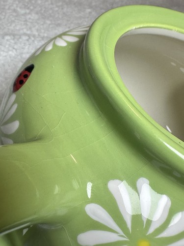 Tetera de cerámica Ladybug Daisy’s floral verde - Imagen 13 de 13