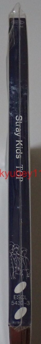 New Stray Kids TOP Japanese ver. Limited Edition Type B CD Photo New Stray Kids TOP Japanese ver. Limited Edition Type B CD Photo