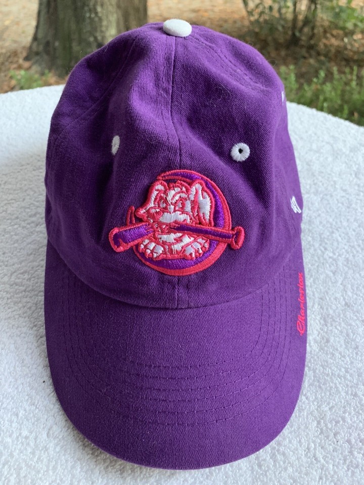 Charleston RiverDogs Hat Youth Cap Strapback Purple Hot Pink Baseball