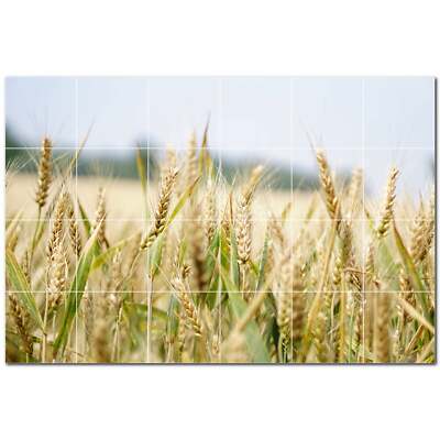 Farm Ceramic Tile Wall Mural PT500591. 48 display picture 1
