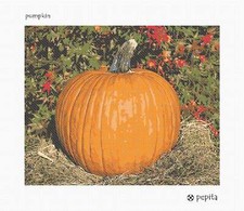 Pumpkin Needlepoint Kit or Canvas