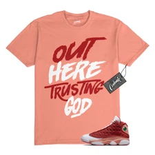 13 Dune Red Terra Blush Dunk T Shirt to Match TG Jordan