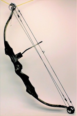 Sale Golden Eagle Hunter Compound Bow 60 70 28 Archery Fast Free Ship Ebay