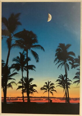 John Wagner Sky at Dusk Ala Moana Park Honolulu Hawaii Post Card 1977 Palm Trees
