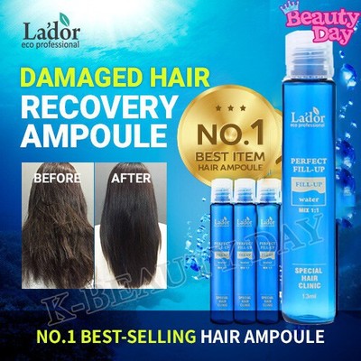 DAMAGED HAIR CARE Perfect Hair Ampoule Filler Booster 13g Self Hair Clinic NEU