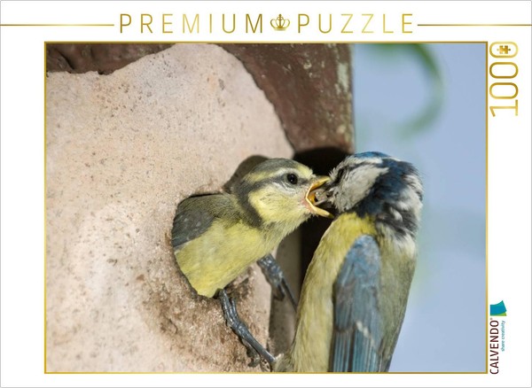 "Calvendo Puzzle An Illustration From The \"Parental Leave\" Calendar—The Family Li"-image
