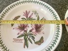 4 Assorted Portmeirion Botanic Garden Dinner Plates 10.5” — photo 9