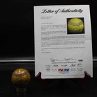 1936 St. Louis Cardinals Team Signed Baseball Frisch Medwick +14 PSA/DNA AZ204