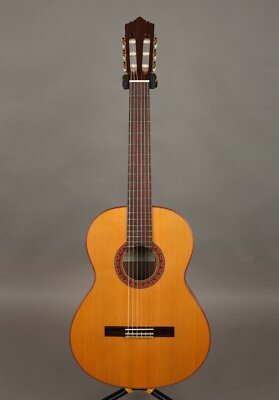 Perez 635 Ziricote Solid Red Cedar Top Mahogany Nylon Classical Guitar