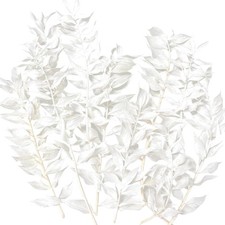 Getrockneter Ruscus Trockenblumen Natur Dekoration Basteln Kunstharz Schmucks...