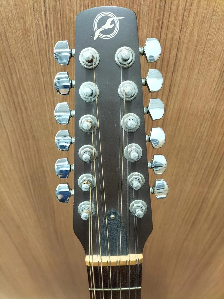 SEAGULL S12 PLUS CEDAR Acoustic Guitar with Hard Case Cedar Top | eBay