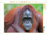 Calvendo Puzzle Intensive | 1000 Pieces, Finished Size 25.2 × 18.9 In (64 × 48 C