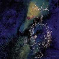 Bardo Pond - Under The Pines - Cd - G3Z