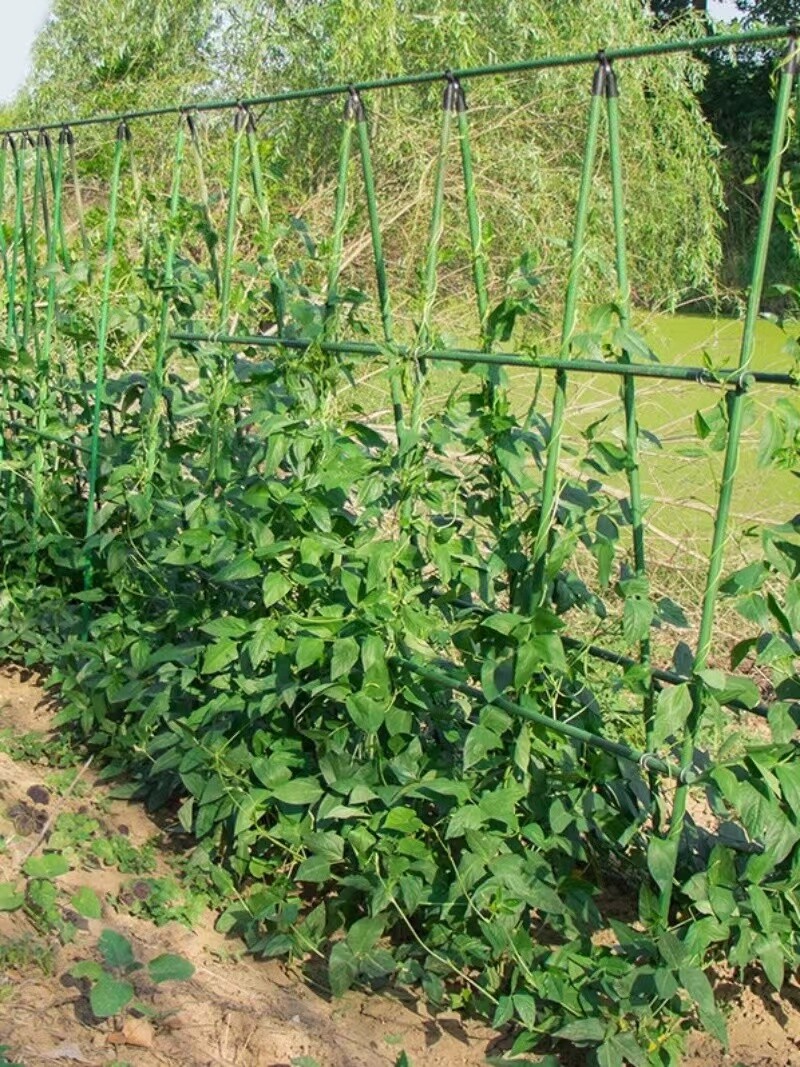 Rankhilfe Tomaten Pflanzstab 60/75/90/120/145cm Stützen für Pflanzen