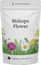 Bishop’s Flower Seeds – 20g Resealable Pouch – Ideal for Wildflower Meado 508.50 per kilo