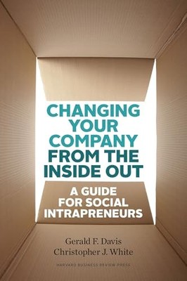 Changing Your Company from the Insi..., White, Christop