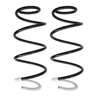 Fahrwerksfedern-Set Vorne Schraubenfeder Ø148Mm Spidan FüR U.A. Renault Clio