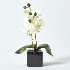 Artificial Cream Orchids in Square Pot with Lifelike Leaves and Stem