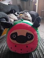 Squishmallows Prince The Watermelon Pug, 23cm Plush Soft Toy