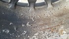 Foto 6 di 11