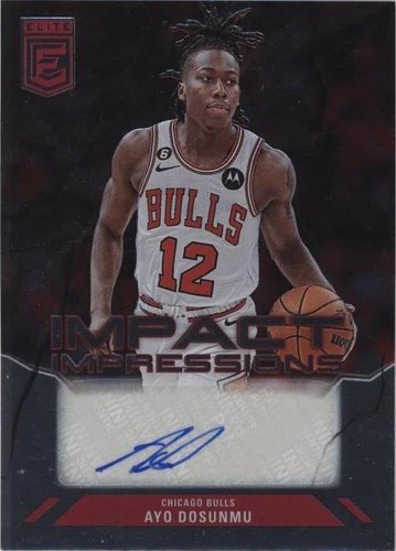 2023-24 Impeccable Ayo Dosunmu Watercolor Ink Holo Silver Auto 2