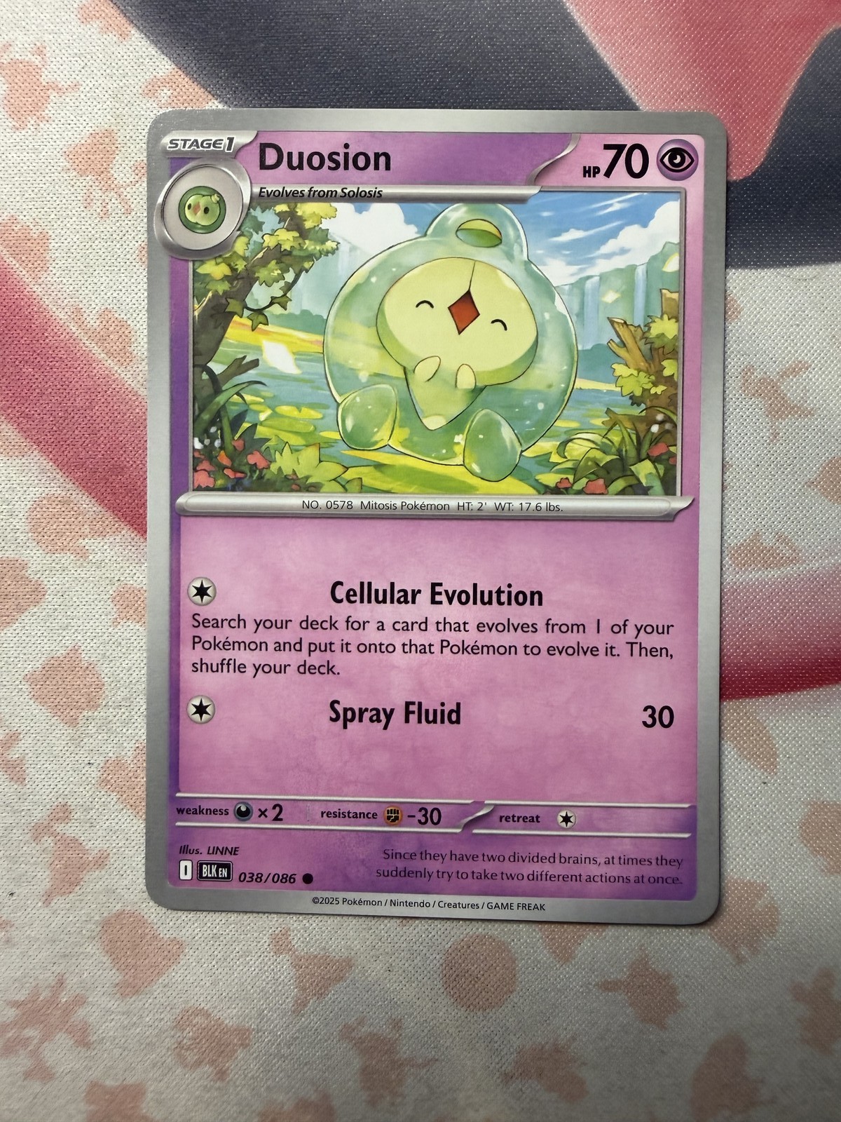 Duosion Common SV: Black Bolt 038/086 NM English Pokemon Card