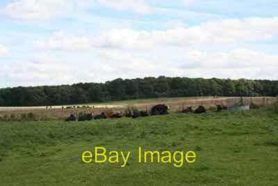 Photo 6x4 Cattle in the corner Moreton At least the cattle are lying down c2009