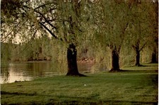 upper Housatonic River, Connecticut, John Kane, Silver Sun Studio postcard