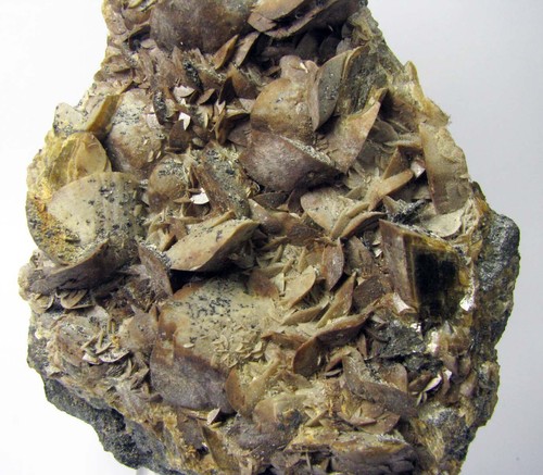 SIDERIT TYPISCHE LINSENFORMKRISTALLE auf MATRIX aus PERU......... JULCANI MINE - Bild 8 von 13