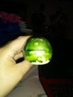 Small Vintage Planters Shaped Like A Cucumber — photo 5