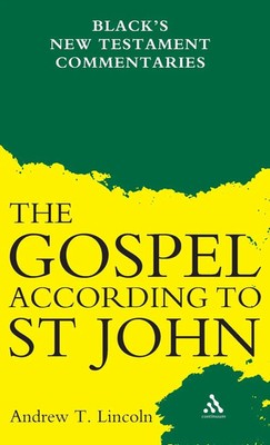 Andrew T. Lincoln | Gospel According to St John | Buch | Englisch (2005)