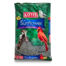 Kaytee Black Oil Sunflower Seed Bird Food - 10lbs