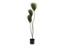 Pianta Artificiale EUROPALMS Papiro 100 cm - Decorazione da Interni ed Esterni i