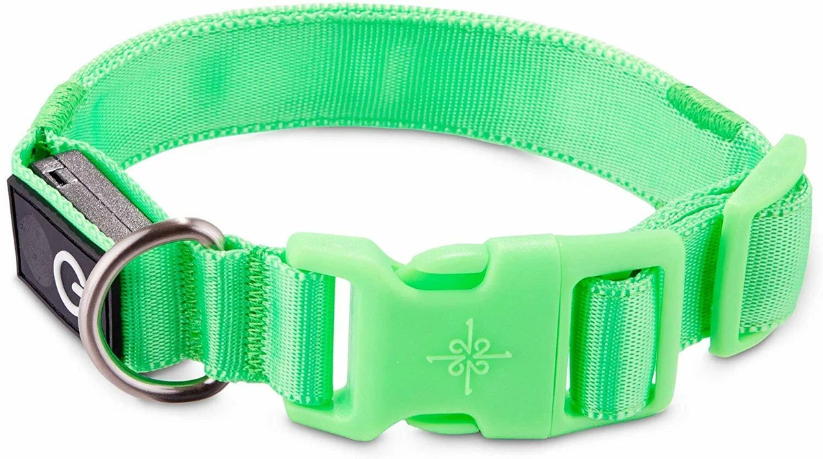 GOOD2GO Neon Green LED Light Up Dog Collar LARGE by GOOD2GO