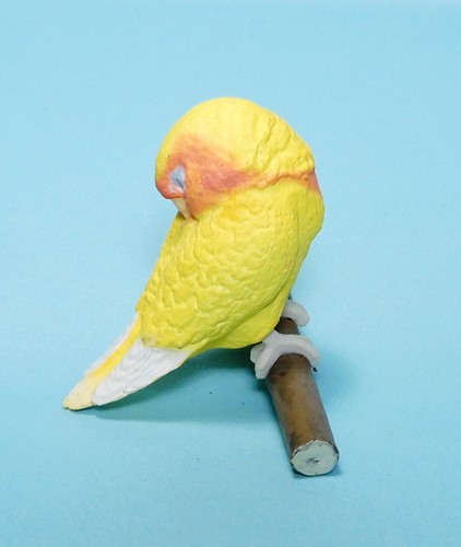 Shine G Tenori Inko Sleep Good Night Lutino Rosy-faced Lovebird bird mini figure