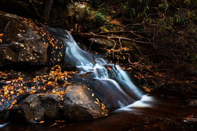 Laurel Falls Adorned with Golden Leaves in Great Smoky Mountains Tennessee Print