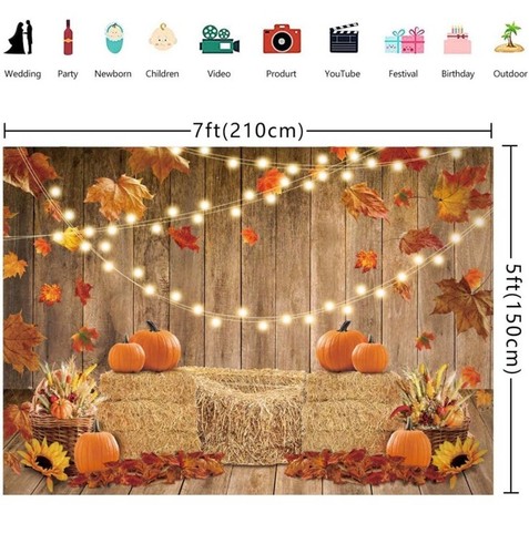 Fall Backdrop Photography Photo Background Holiday Portrait Pumpkin Banner 7'x5' - Picture 2 of 3