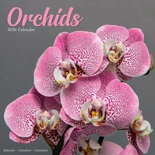ORCHIDS - 2026 WALL CALENDAR - BRAND NEW - 07763