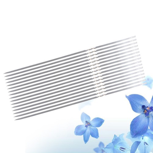 20 Pezzi Spiedini per Barbecue in Acciaio Inox 304 Bastoncini per Barbecue Grill Forchetta (Argento)