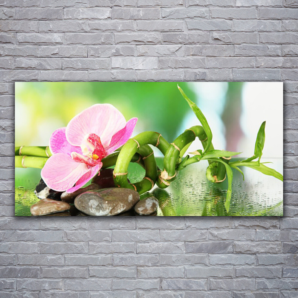 Impression sur verre acrylique Nature 120x60 pour déco de salon zen