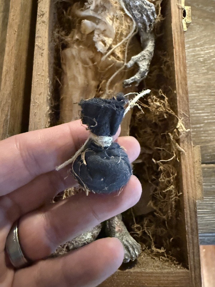 Lucio Fulci - Regista - Biografia E Filmografia - Foto 11